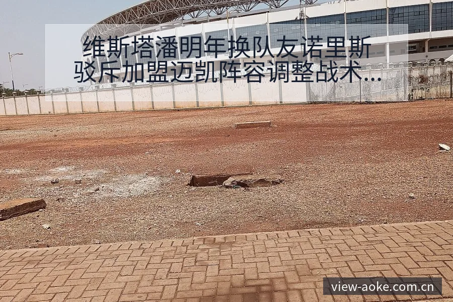 维斯塔潘明年换队友诺里斯驳斥加盟迈凯阵容调整战术价值深析 - 澳客