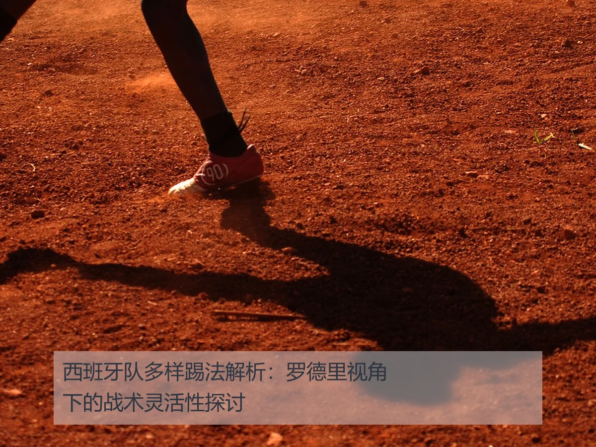 西班牙队多样踢法解析：罗德里视角下的战术灵活性探讨